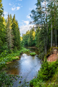 Amatas River, Latvia (2) 2020 by Evelyn Apinis