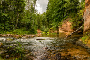Amatas River, Latvia (5) 2020 by Evelyn Apinis
