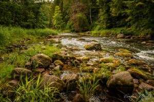 Amatas River, Latvia (4) 2020 by Evelyn Apinis
