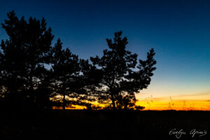 Last light, Hiiumaa 2020 by Evelyn Apinis
