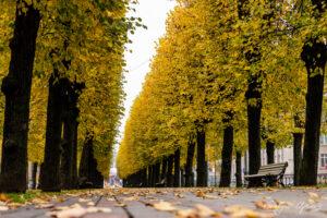 Brivibas pulvaris, Riga 2020 by Evelyn Apinis