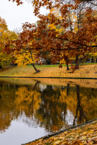 Autumn in Bastejkalns park, Riga 2020 by Evelyn Apinis