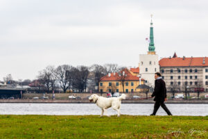 Picture Perfect Walk with Dog, AB Dambis, Riga 2020 by Evelyn Apinis